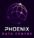 Phoenix NBN Plan 100/100
